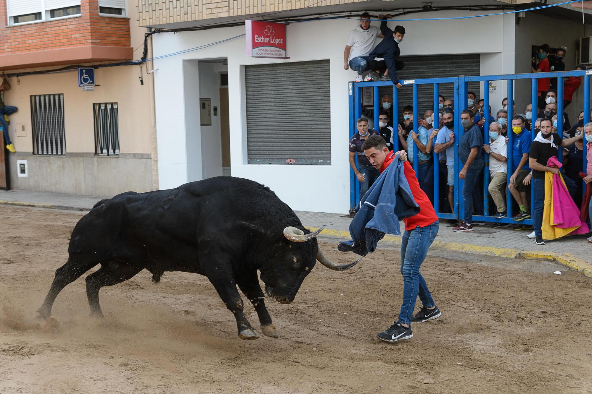 Primera jornada taurina de la Vall desde el 2019