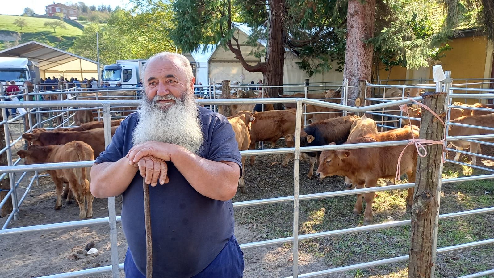 Así fue la feria de Santa Teresa en Piloña: mucha participación pero precios bajos