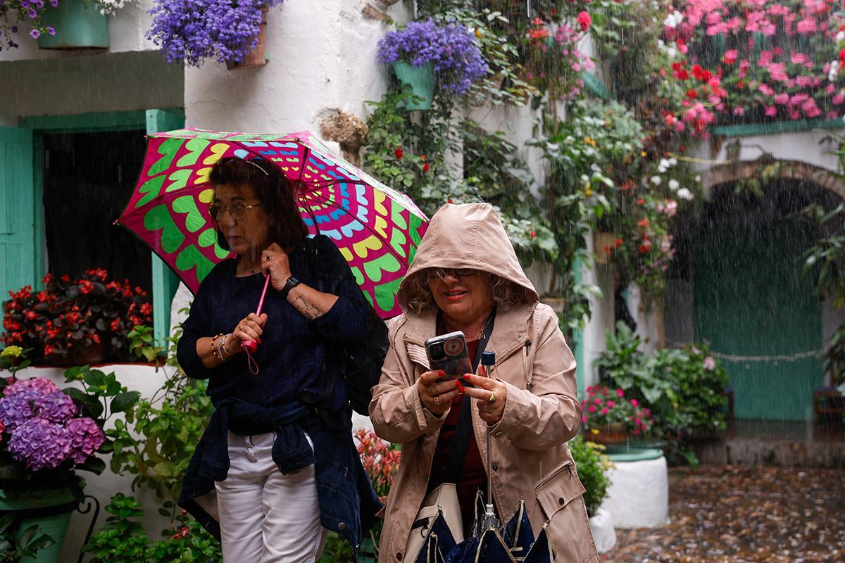 Bulla entre sol y lluvia en los Patios de Córdoba Bulla entre sol y lluvia en los Patios de Córdoba