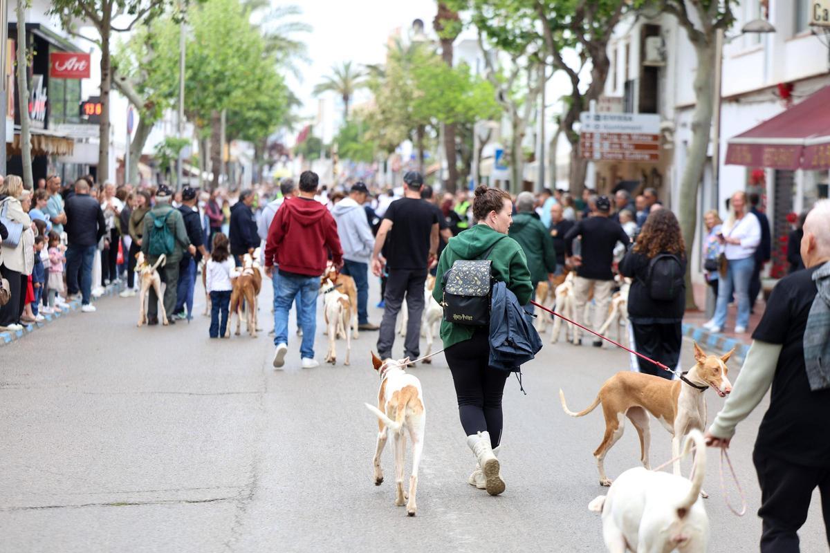 Santa Eulària en su domingo de Anar a Maig, en imágenes