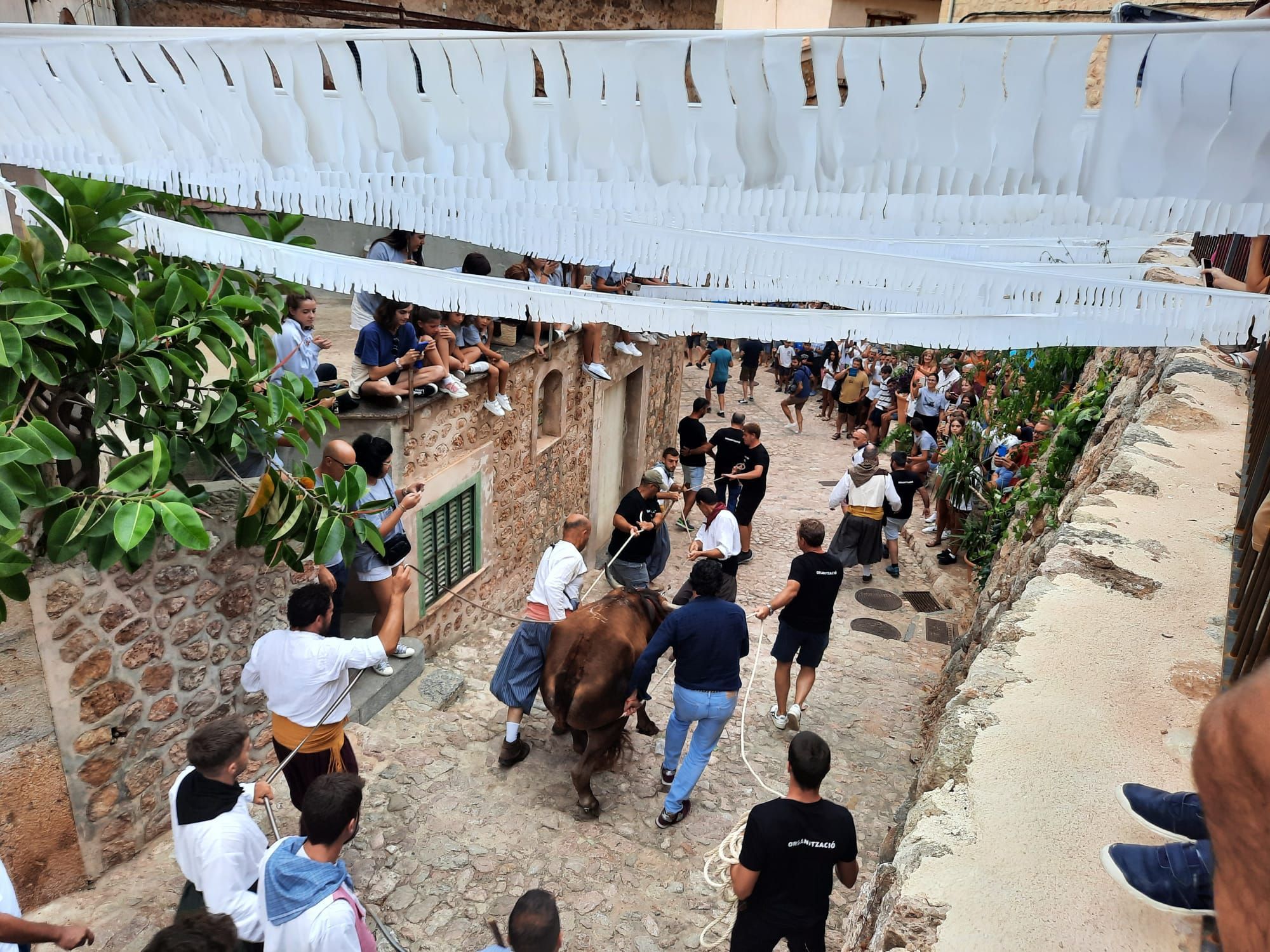 So sah es beim ersten Stierlauf in Fornalutx auf Mallorca nach Corona aus