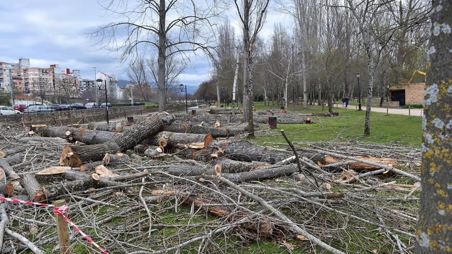 Plasencia cerrará sus parques este sábado por la alerta por viento