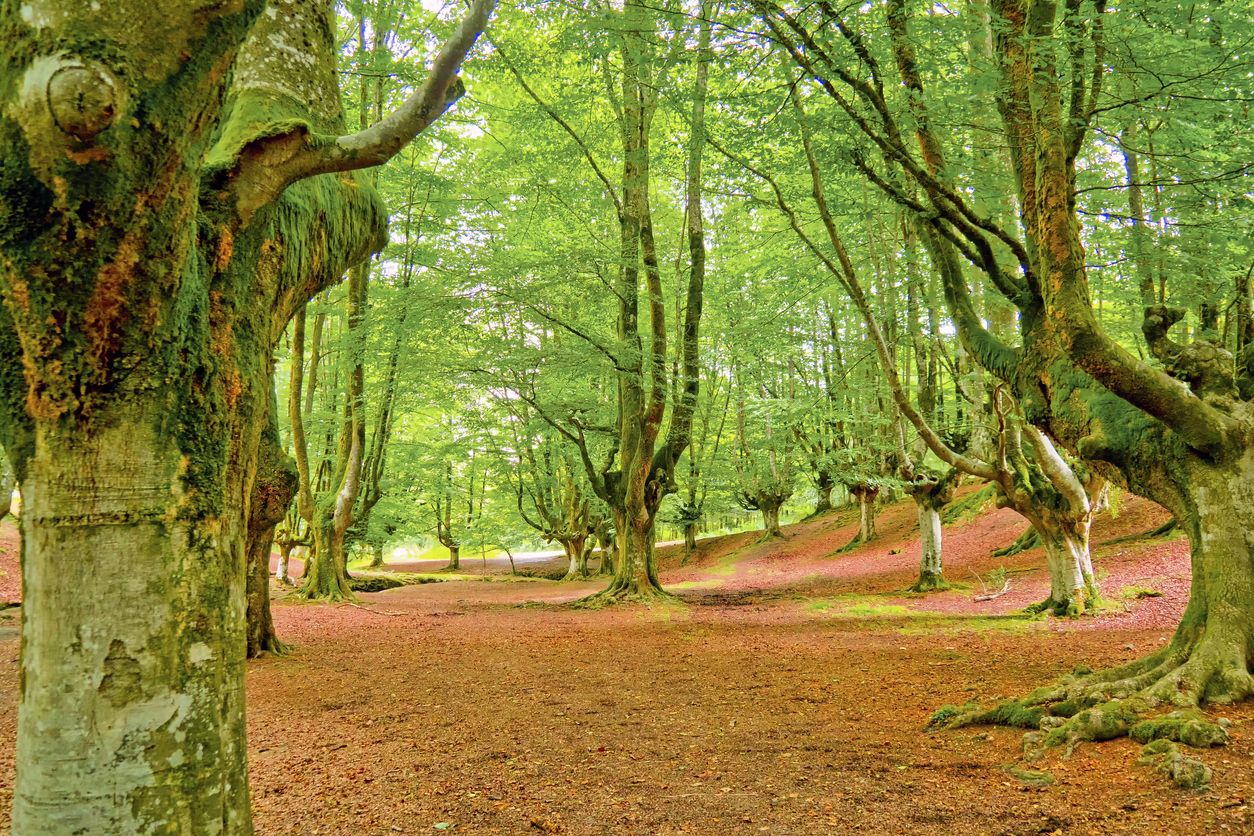 En este Parque Natural tiene paisajes que te dejarán sin habla.