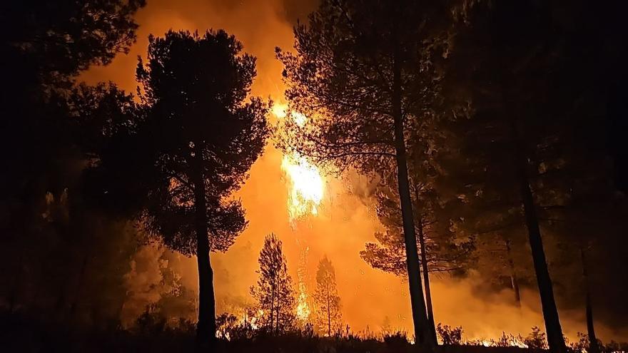 Buscan a un pirómano por provocar siete incendios forestales en Cehegín