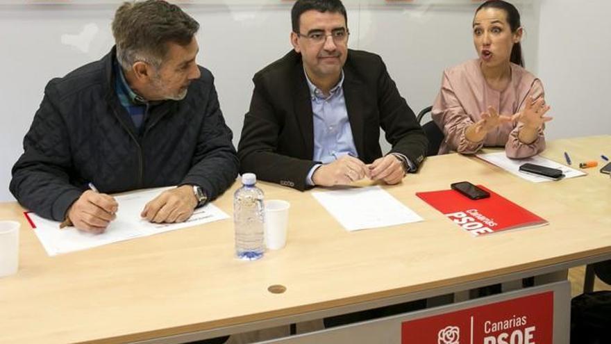 Comisión Gestora del PSOE de Canarias (24/01/17)