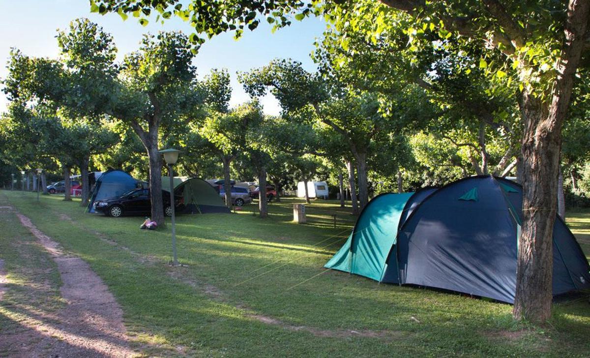 Una parcela del Camping Laspaúles