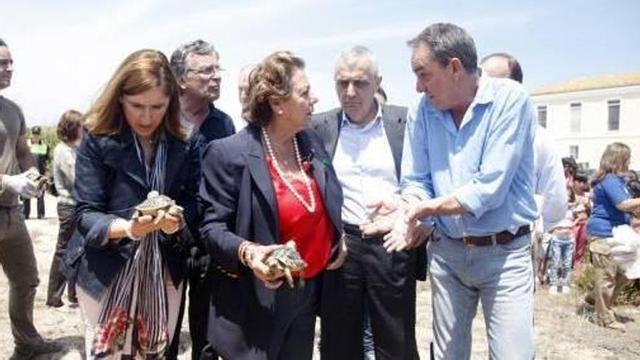 La extinta tortuga mediterránea se establece en la Devesa de El Saler
