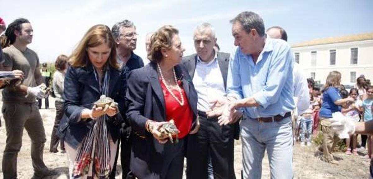 La extinta tortuga mediterránea se establece en la Devesa de El Saler