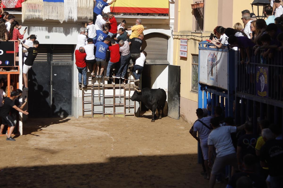 El sábado taurino de Santa Quitèria no defrauda