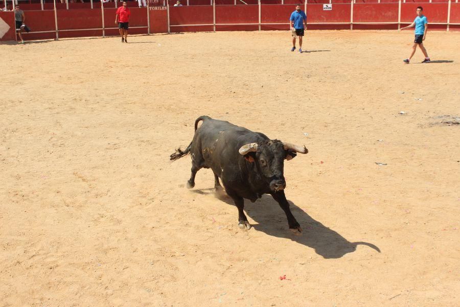 Fiestas en Zamora: Encierro y toros en Villamor