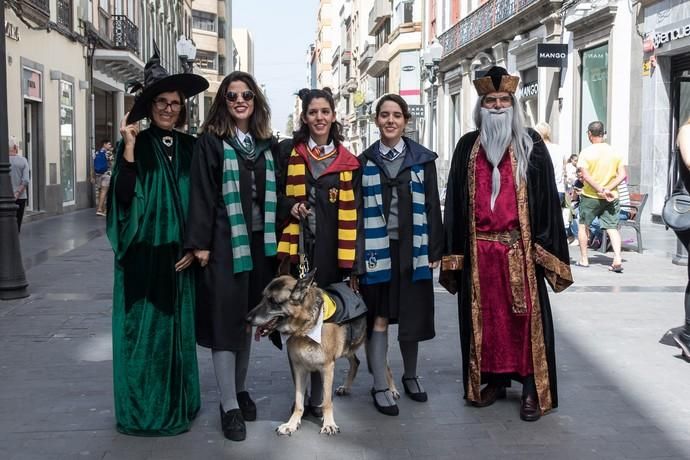 Carnaval 2019 | Carnaval de Día de Vegueta