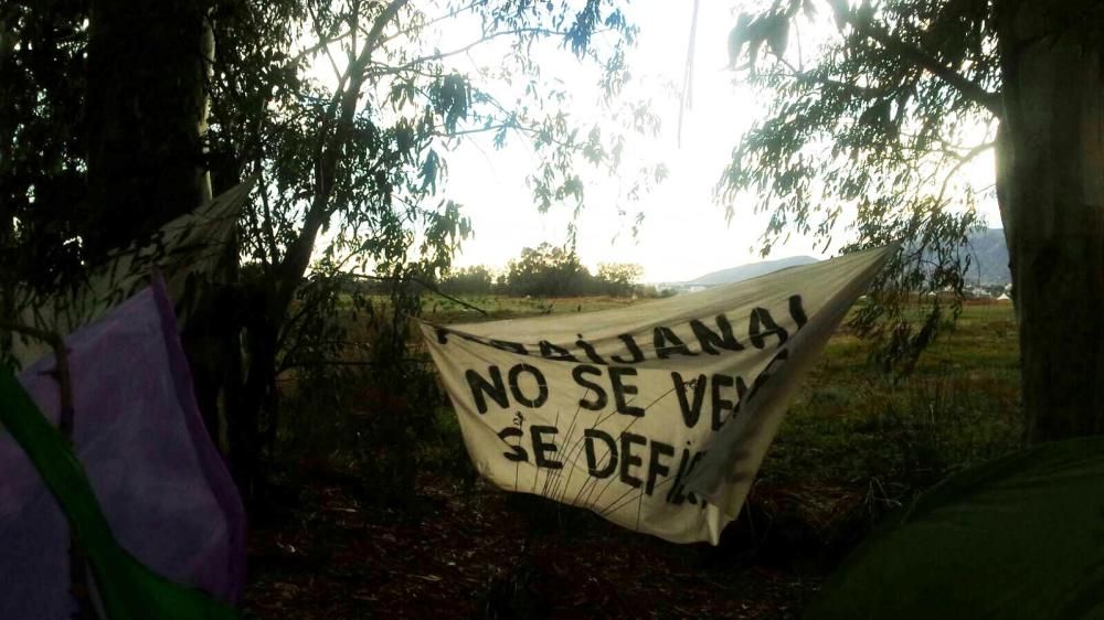 Protesta por la tala de árboles en Arraijanal