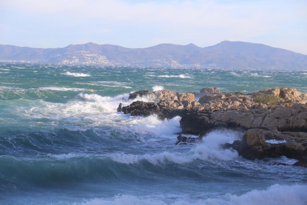 El vent provoca destrosses a l'Empordà