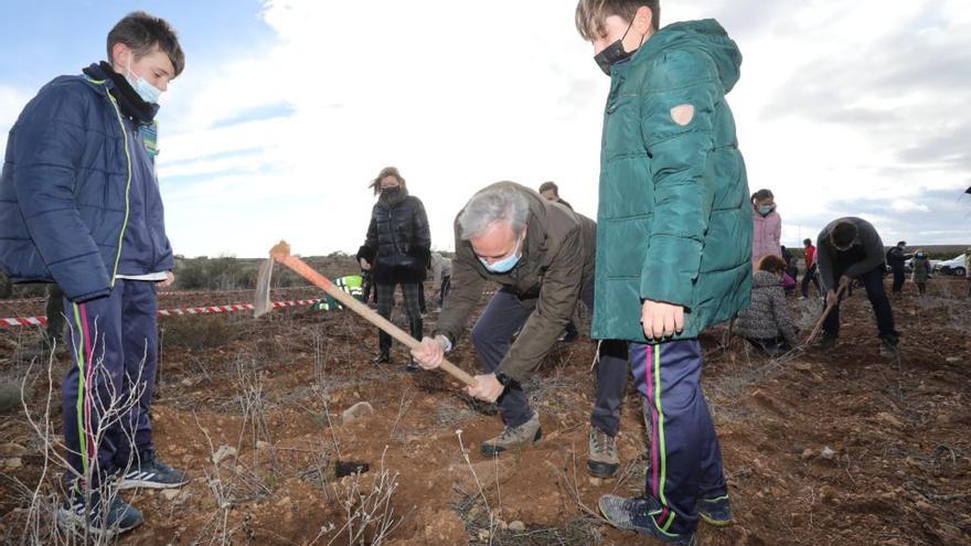Bosque de los Zaragozanos: Los escolares plantan los primeros árboles de Peñaflor
