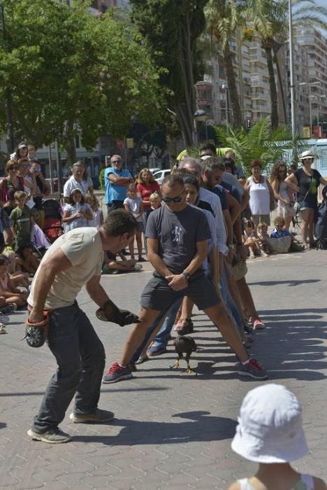 Así ha quedado la puerta que destrozó el agresor a