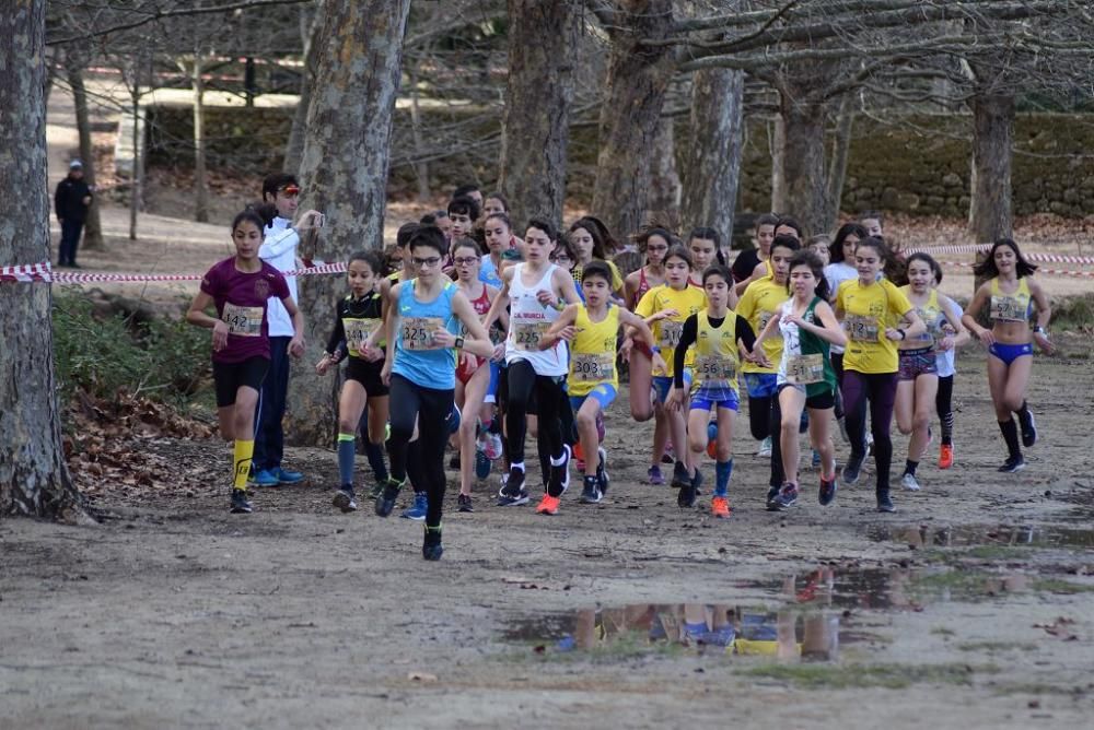 Cross Fuentes del Marqués (IV)