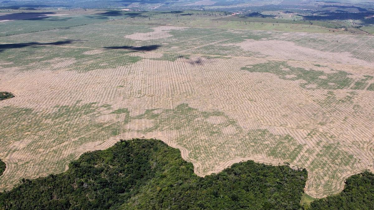 La Amazonía brasileña sufre un ritmo de deforestación impresionante