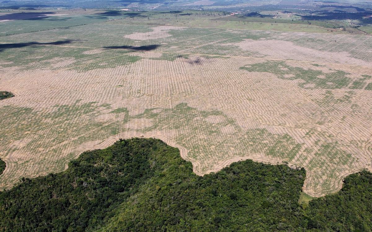 La Amazonía brasileña sufre un ritmo de deforestación impresionante