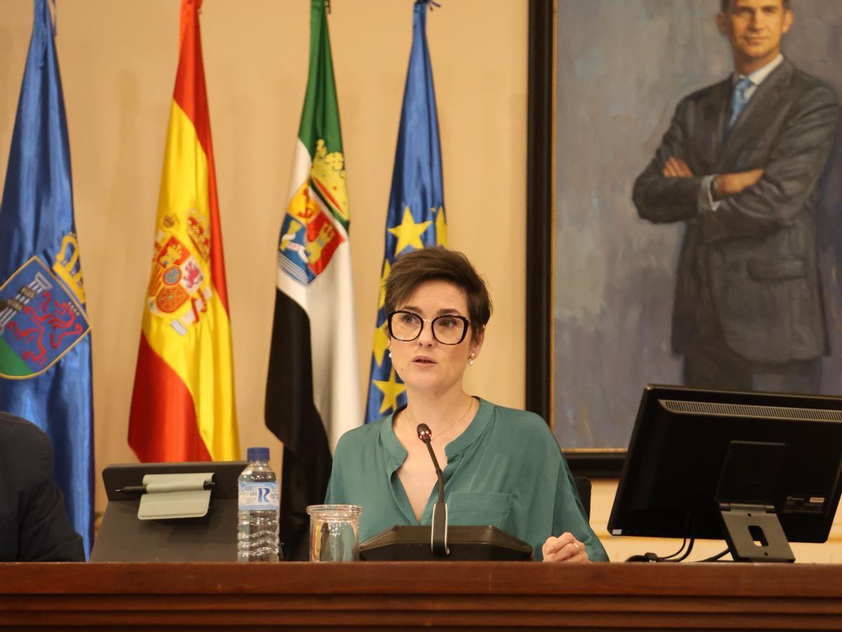 La presidenta de la diputación, Raquel del Puerto, durante el pleno de abril.