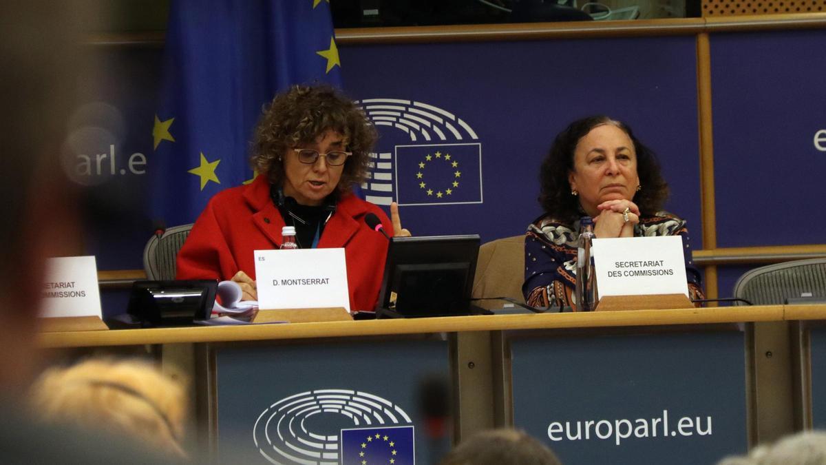 Serret critica davant l’Eurocambra el "partidisme" del PP amb la immersió