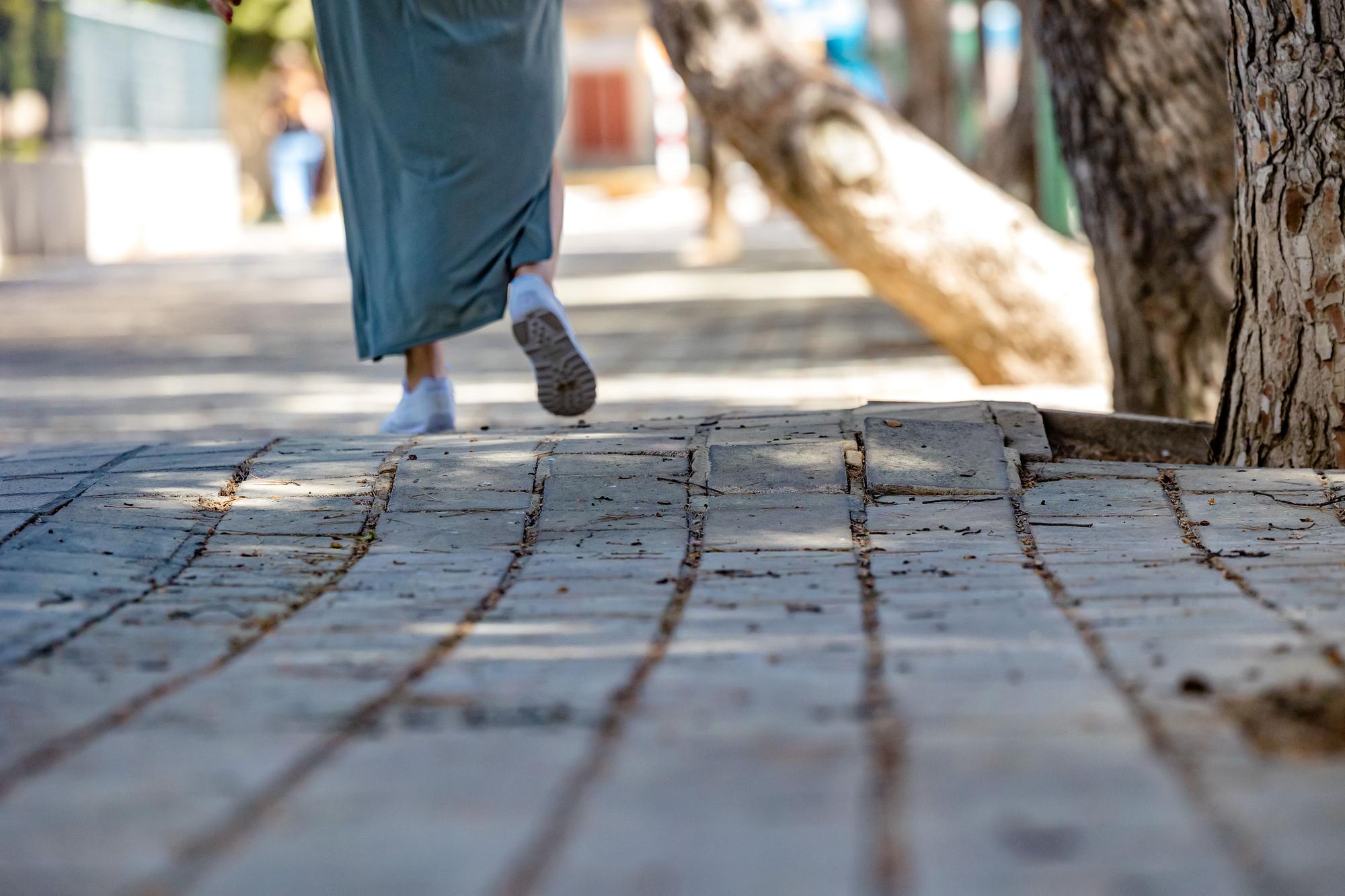 Un bosque invade una calle de la Playa de San Juan