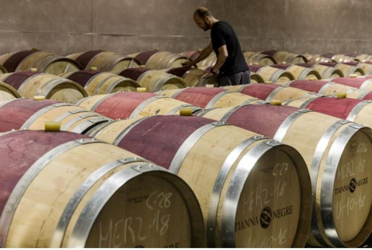 Einige der Weinfässer der Bodega Tianna Negre.