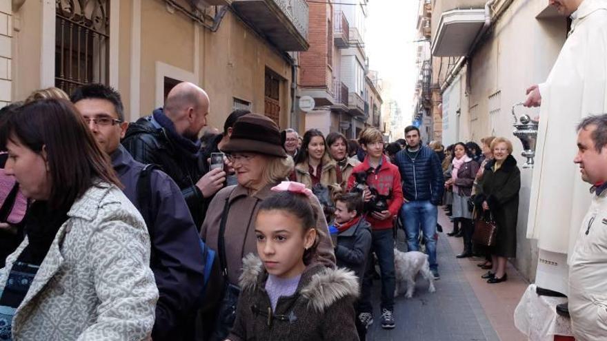 Nules celebra la bendición de los animales por Sant Antoni