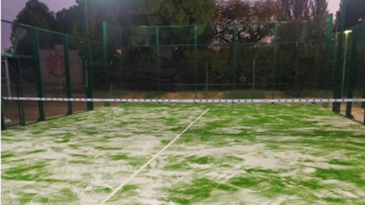 Se ha arreglado el césped de la pista de pádel y habilitado una nueva. |