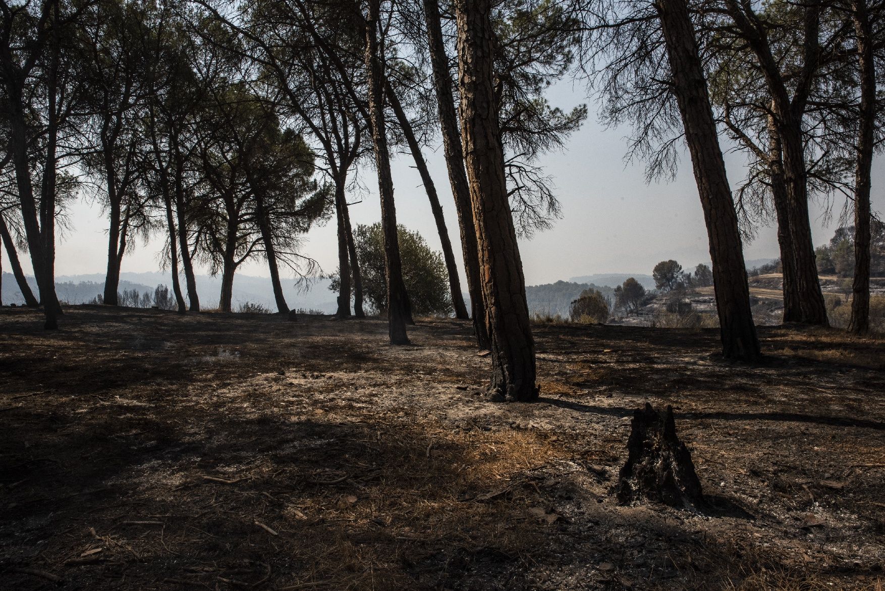 Afectació per l'incendi a la urbanització de les Brucardes