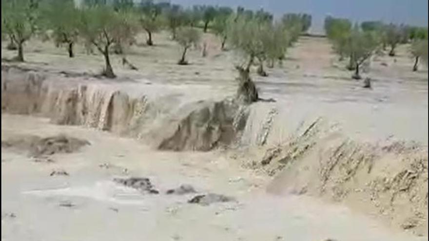 Las cabañuelas: la primavera acabará con lluvia