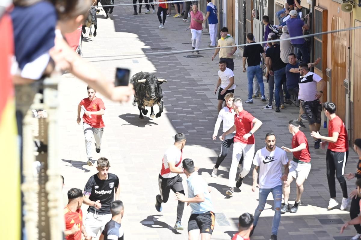 Galería | Almassora vibra con el encierro de cerriles de Gerardo Ortega