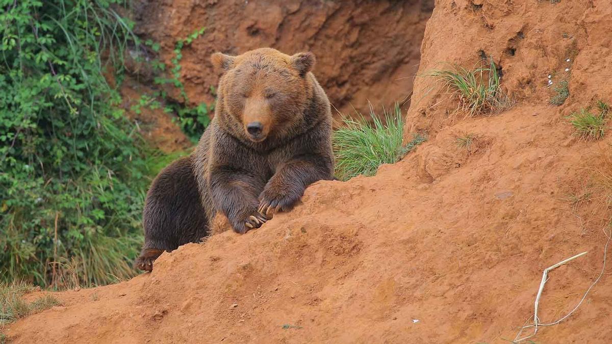 Parque Natural de Cabárceno, Santander