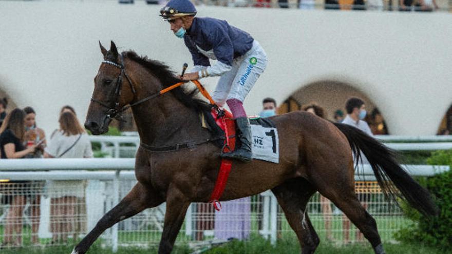 El jinete Ricardo Sousa, con Great Prospector, el pasado jueves, en el Hipódromo de La Zarzuela de Madrid.