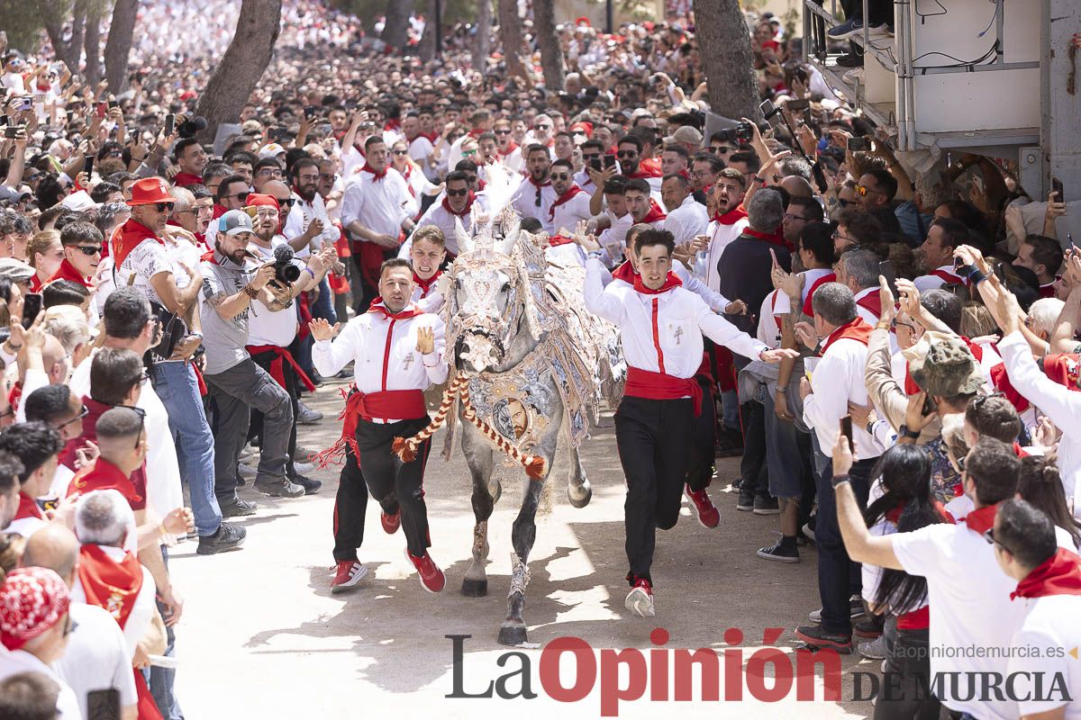 Así se ha vivido la carrera de Los Caballos del Vino en Caravaca