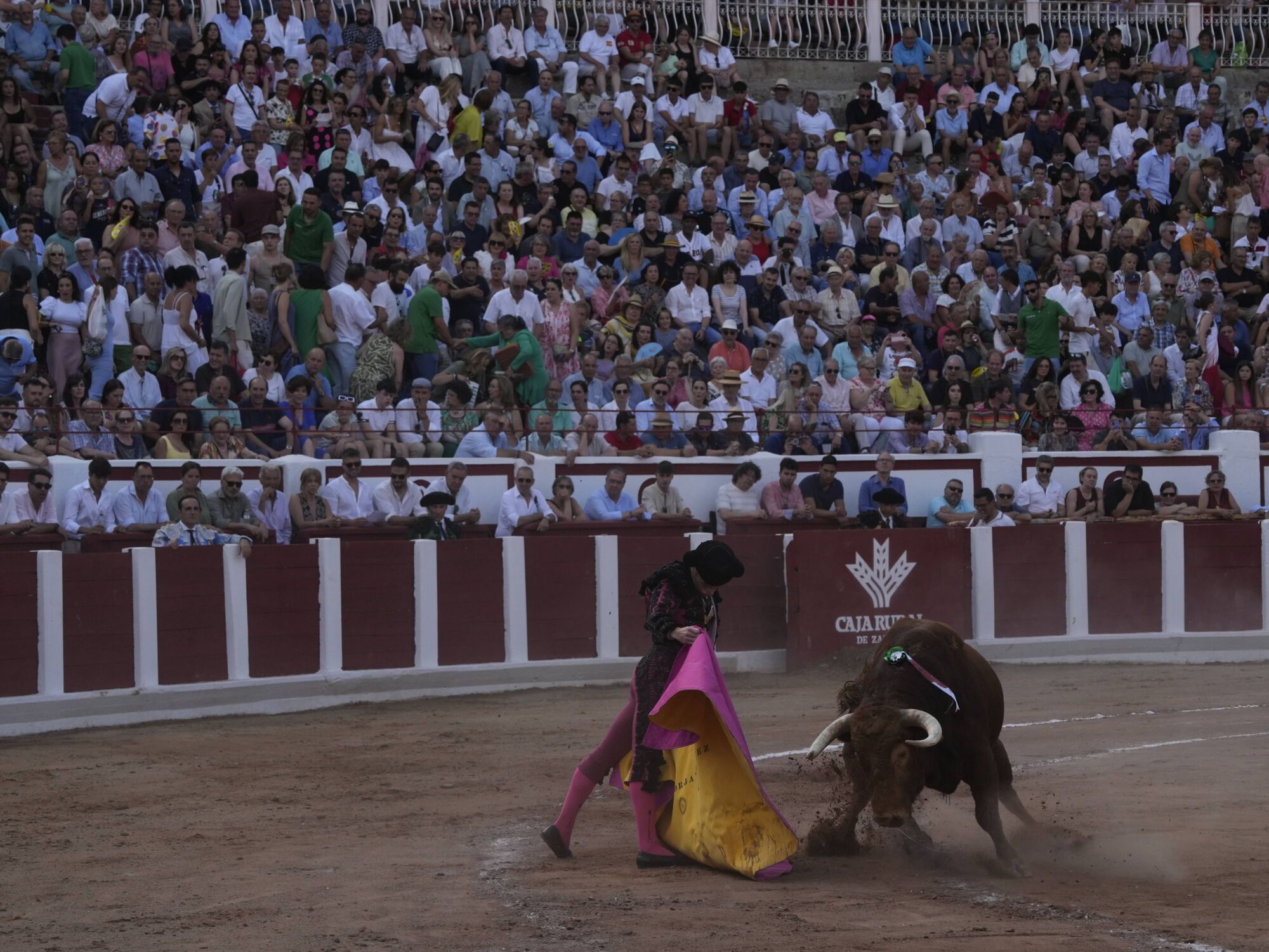 Las mejores imágenes de la feria taurina de San Pedro en Zamora.