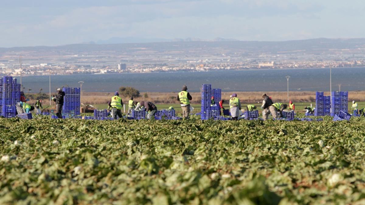 Adjudicarán un nuevo modelo territorial al Mar Menor para aumentar su protección