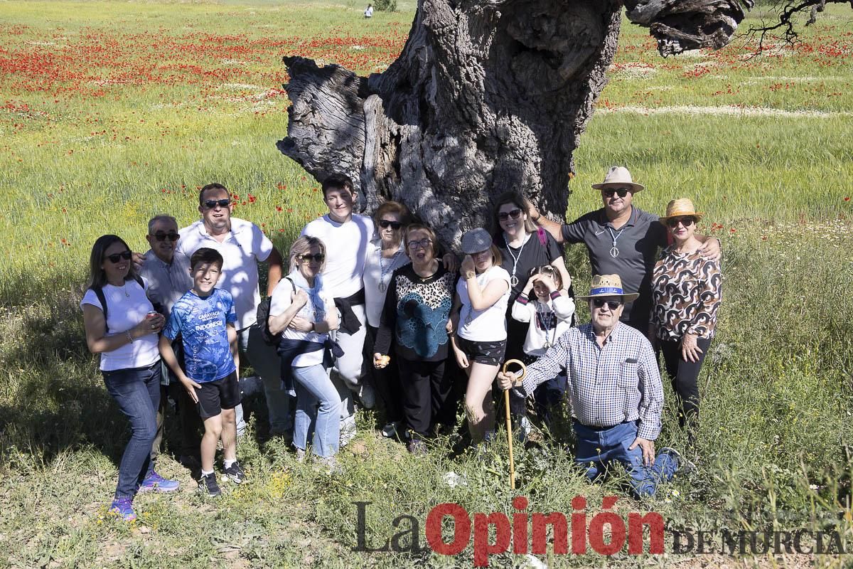 Romería de San Isidro en los Poyos de Celda de Caravaca