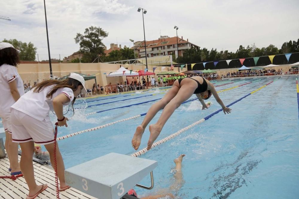 Campeonato de natación en Murcia Parque