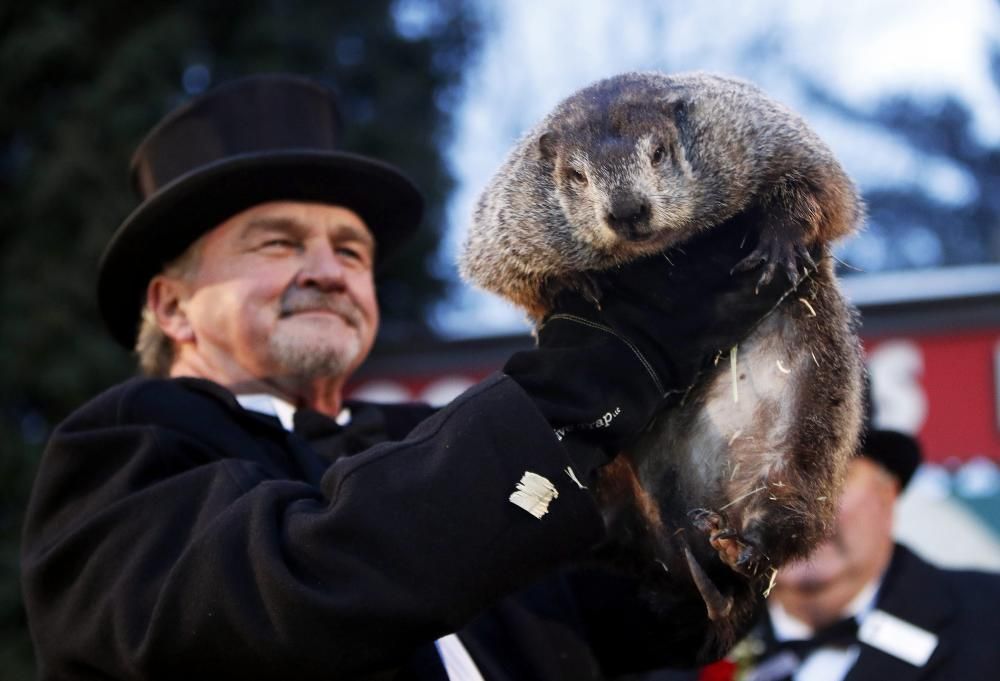 La marmota Phil prediu un hivern llarg als EUA