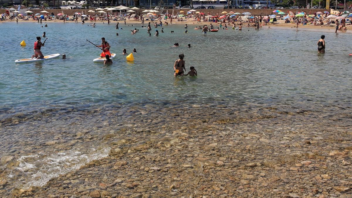 playacola playacola