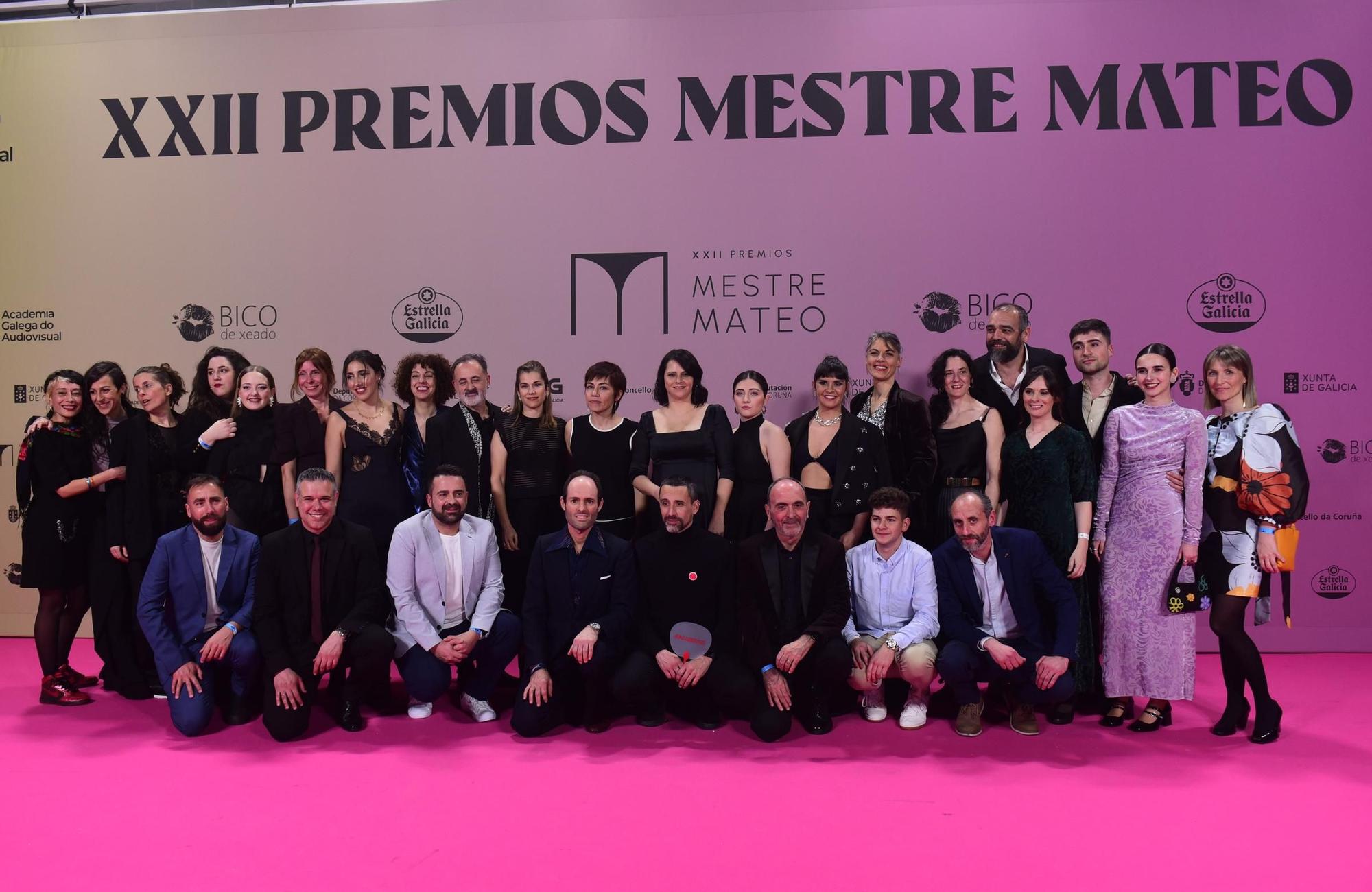 Gala dos premios Mestre Mateo 2024