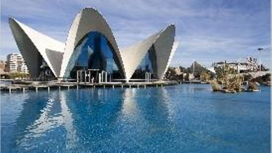 El lago y una de las cubiertas del Oceanogràfic.