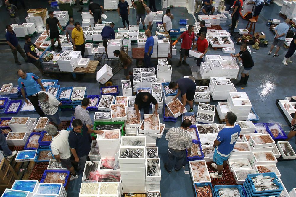 Así es un día de trabajo en la pescadería de Mercamálaga