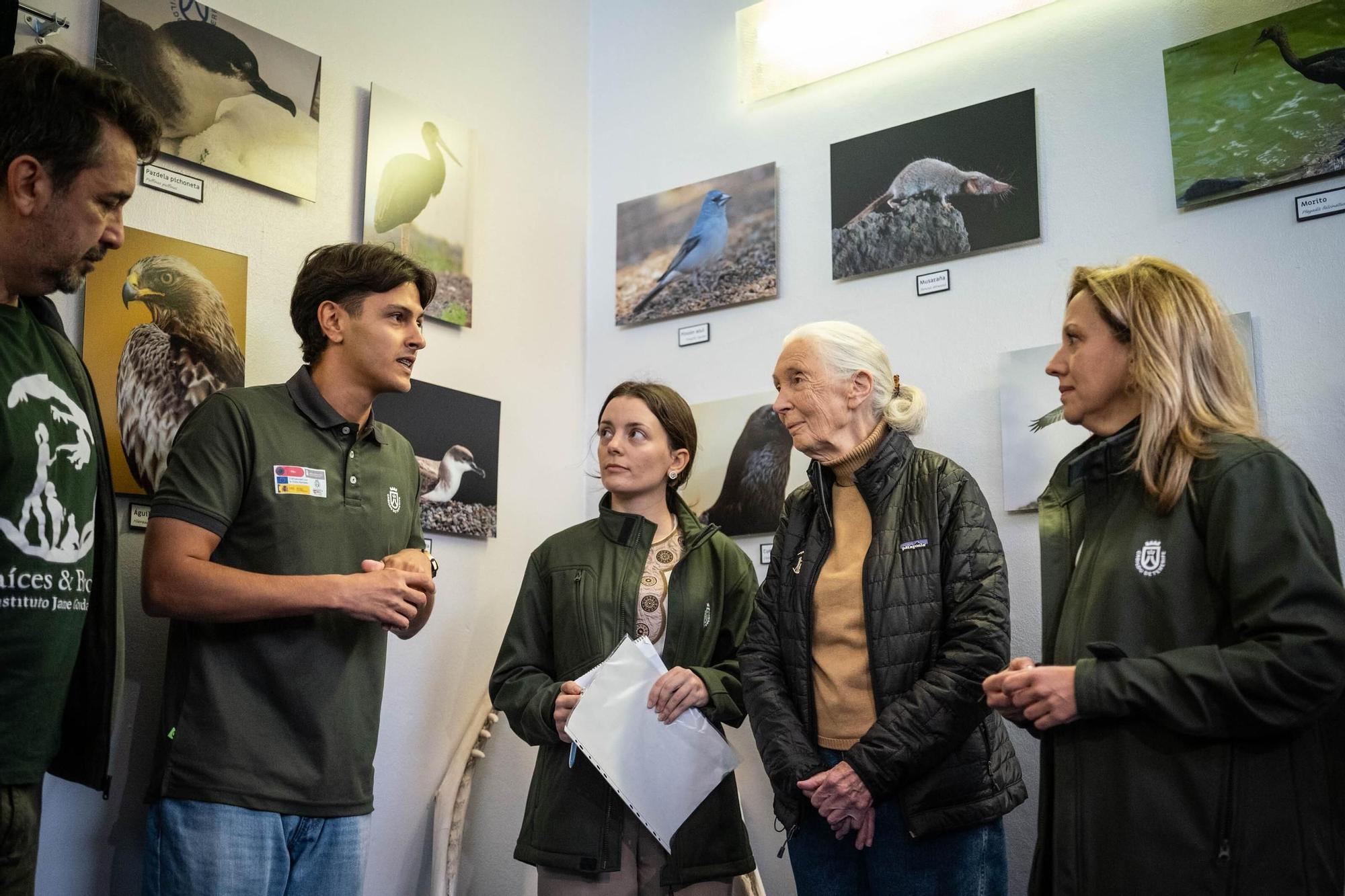 Jane Goodall visita distintos lugares en Tenerife