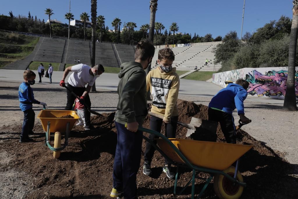 Siembra de árboles en el parque de sa Riera de Palma