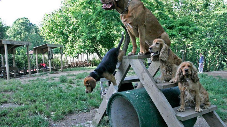 Área canina del parque de Santa Margarita.