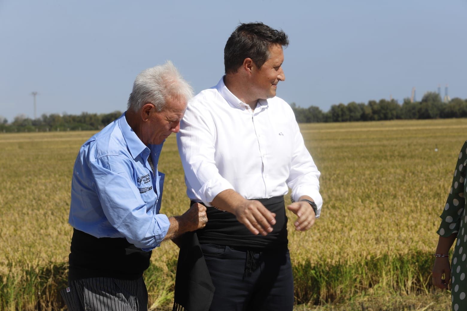 Todas las imágenes de la Fiesta de la Siega del Arroz 2024
