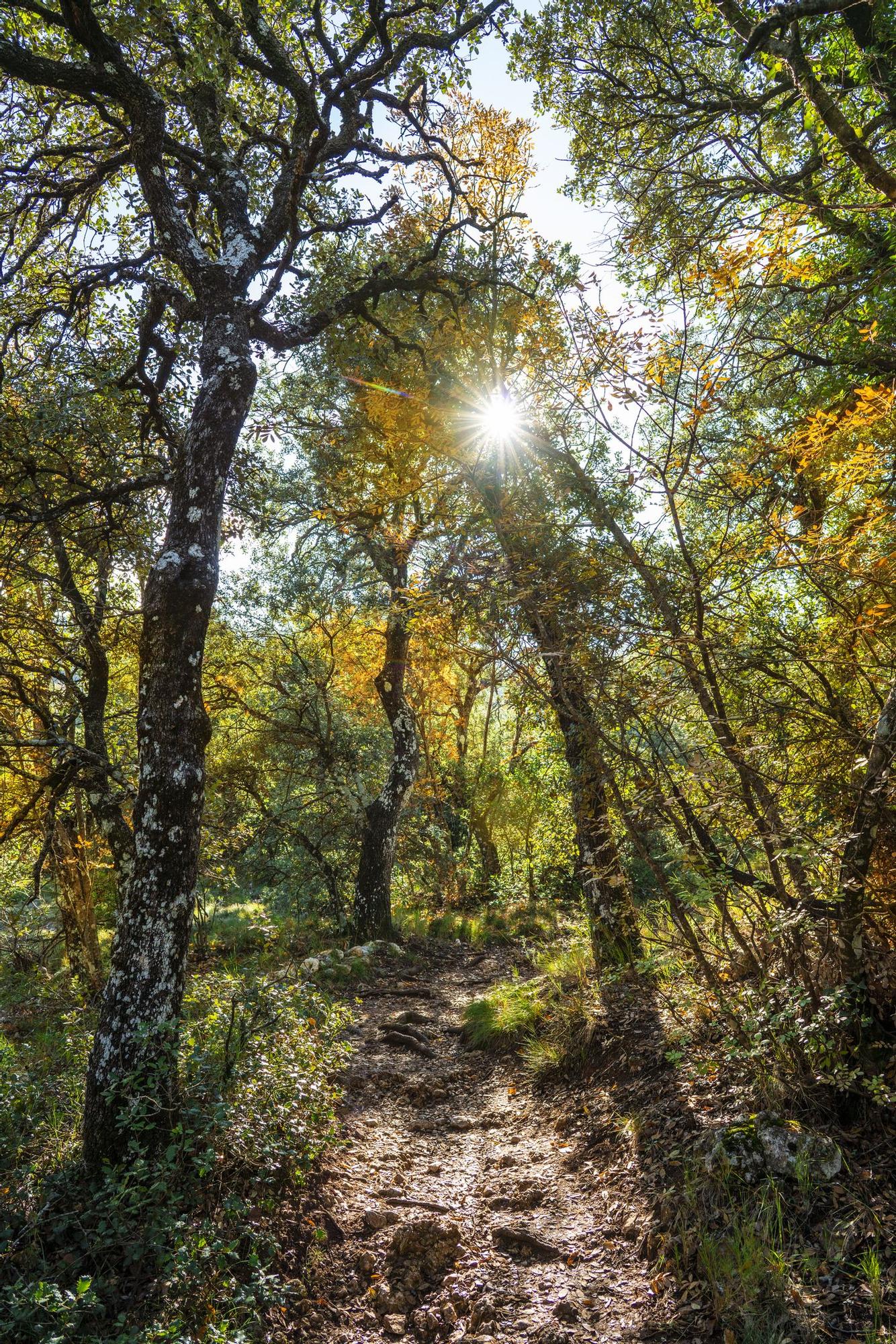 El parque destaca por sus colores en otoño.