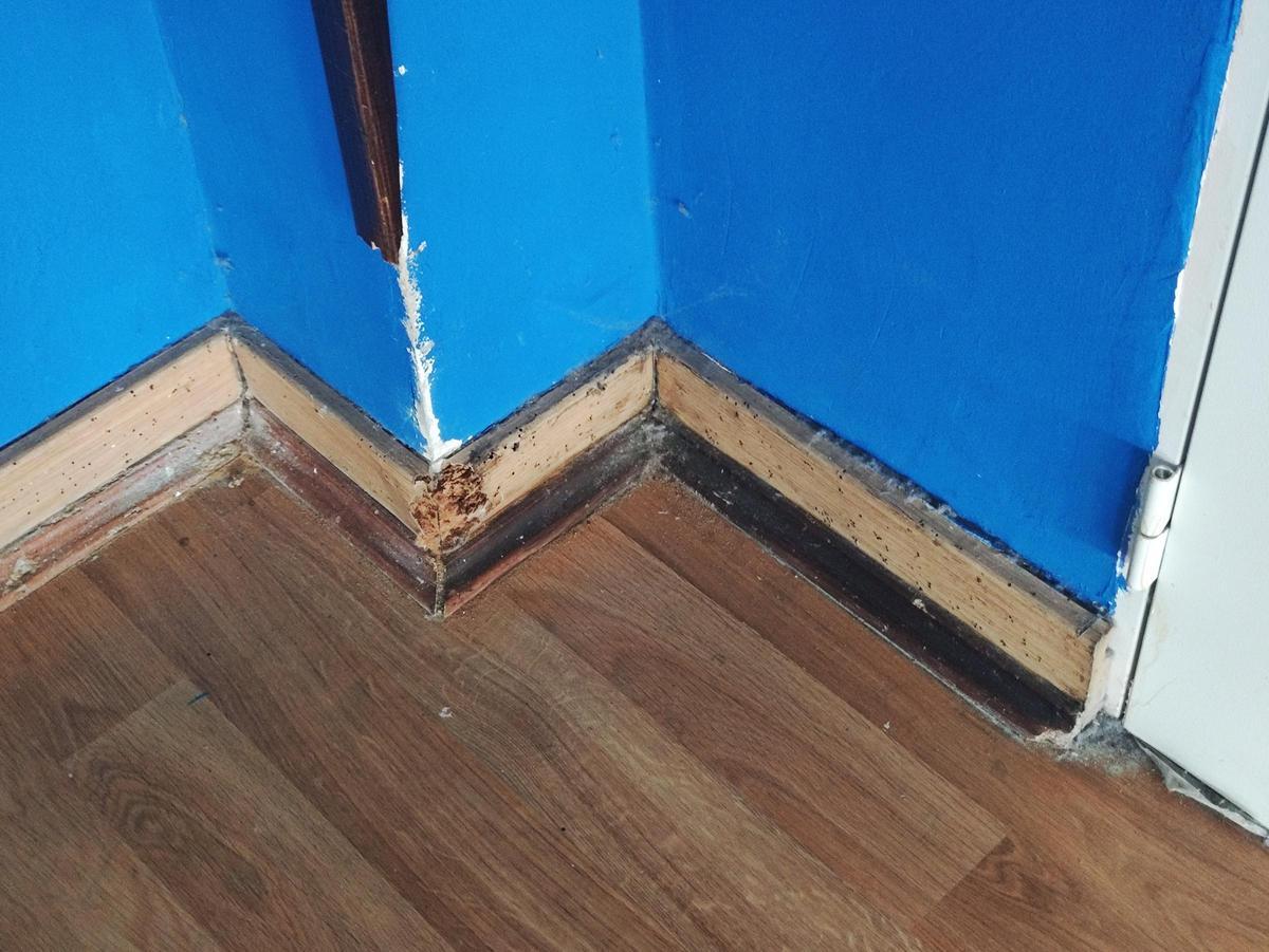 EN IMÁGENES: Las familias del colegio "Campiello" de Piedras Blancas piden reparaciones en el centro, que cumple 50 años