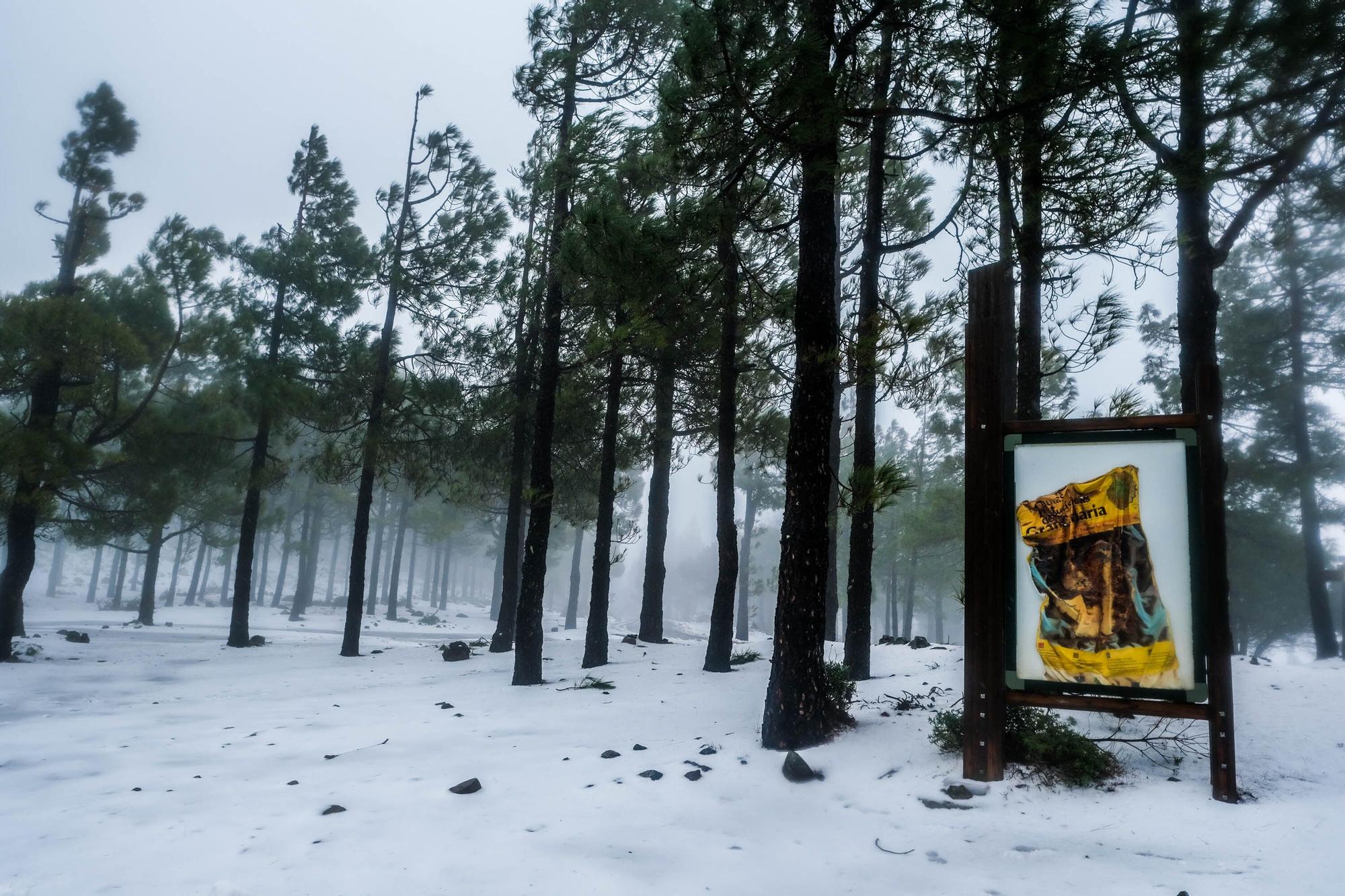 Nieve en la cumbre de Gran Canaria (15/03/2022)